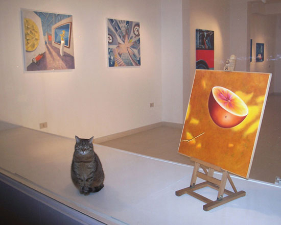 Mercurio Arte Contemporanea Mercurio Arte Contemporanea